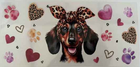 Dachshund Wrap